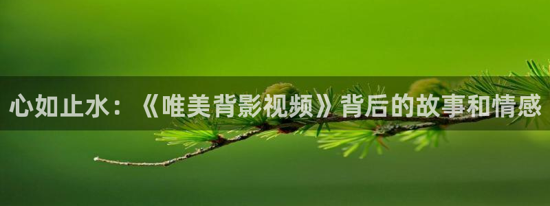 大西瓜影院让你感受新时代